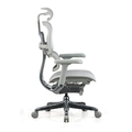 OFFICE HUB Revolving Chair with Active bio synchro mechanism