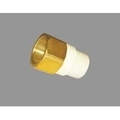 PRAYAG 20 mm dia Female adapter brass threaded