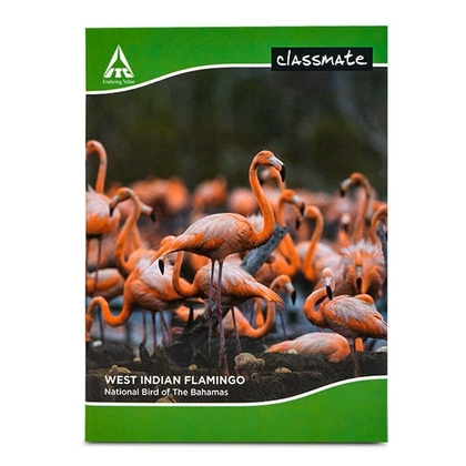 Classmate PLAIN REGISTER Diaries-printed-plain- register- 172 Pages