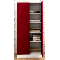 pragati Almirah Steel shelving cabinets