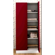 pragati Almirah Steel shelving cabinets