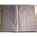 Unbranded Single Line Ruled Diaries-printed-plain- register- 192 Pages