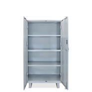 GSSI Almirah Steel shelving cabinets