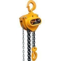 FERRETERRO Hand Operated Chain Pulley Block, Warranty 1 year