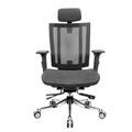 R P ENTERPRISES Revolving Chair with Knee tilt Synchronic mechanism