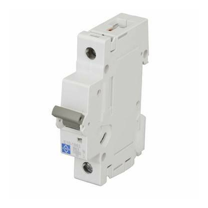 ASCORAJ 63A 1 Pole 10 KA Molded Case Circuit Breakers (Mccb)