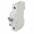 ASCORAJ 63A 1 Pole 10 KA Molded Case Circuit Breakers (Mccb)