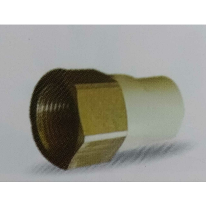 PRAYAG 25 mm dia Female adapter brass threaded