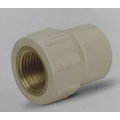 PRAYAG 15 mm dia female thread adapter(brass insert)