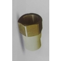 PRAYAG 25 mm dia Female adapter brass threaded