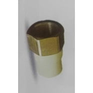 PRAYAG 25 mm dia Female adapter brass threaded