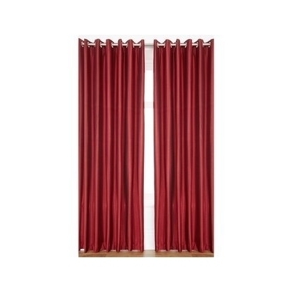 spacewood Silk Plain Door Curtains