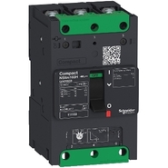 Schneider electric  125A 3 Pole 25 KA Molded Case Circuit Breakers (Mccb)