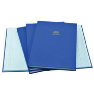 Amir FILE REGISTER Diaries-printed-plain- register- 380 Pages