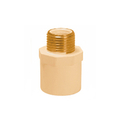 Astral 15 mm dia female thread adapter(brass insert)