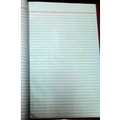 Deluxe Register PLAIN REGISTER Diaries-printed-plain- register- 360 Pages