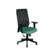 Bonton Revolving Chair with Synchronic tilt mechanism