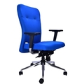 PPB Revolving Chair with Knee tilt Synchronic mechanism