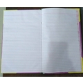 RAKESH PLAIN REGISTER Diaries-printed-plain- register- 240 Pages