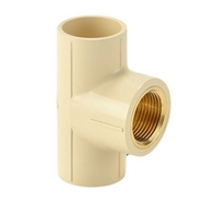 Astral 20 mm dia Female threaded tee(brass insert)