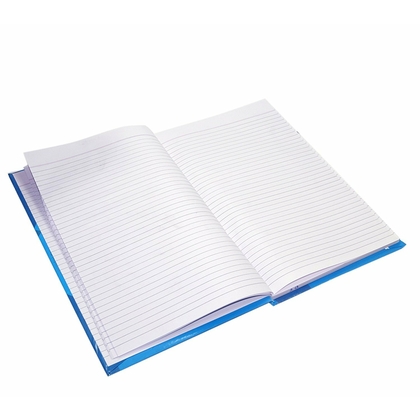 Unbranded PLAIN REGISTER Diaries-printed-plain- register- 100 Pages