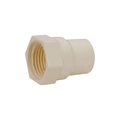 PRAYAG 20 mm dia Female thread adapter(plastic)