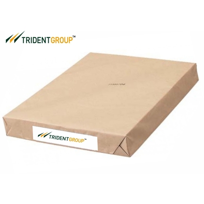 TRIDENT PAPER 70 GSM Maplitho Paper