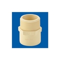 Astral 15 mm dia Male thread adapter(plastic)