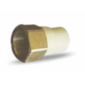 PRAYAG 15 mm dia Female adapter brass threaded