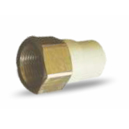 PRAYAG 15 mm dia Female adapter brass threaded