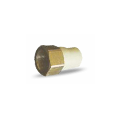 PRAYAG 15 mm dia Female adapter brass threaded