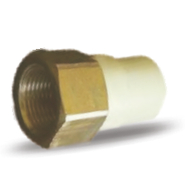 PRAYAG 25 mm dia female thread adapter(brass insert)