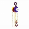 RAJA Hand Operated Chain Pulley Block, Warranty 2 year