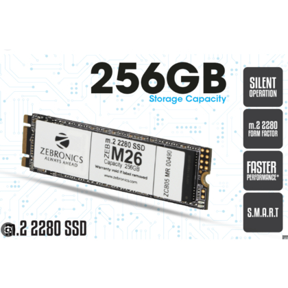 ZEB SSD NVME 256GB