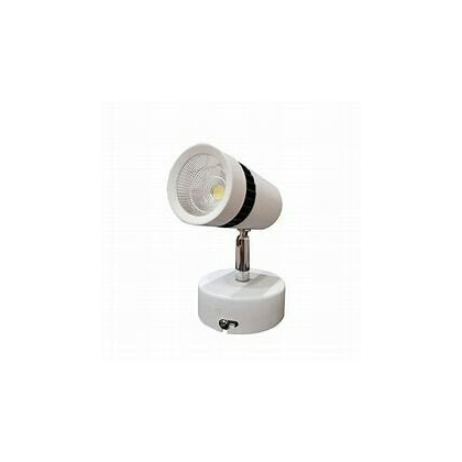 FOCUS LIGHT 30WATT