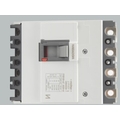 INDO ASAIN 63A 4 Pole 25 KA Molded Case Circuit Breakers (Mccb)