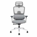 ADP--ADP INTERIO PRIVATE LIMITED Revolving Chair with Center tilt mechanism