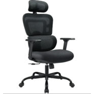 Balaji Furniture Revolving Chair with Active bio synchro mechanism