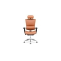 KRISHTHA Revolving Chair with Knee tilt mechanism