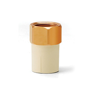 Prince 20 mm dia female thread adapter(brass insert)