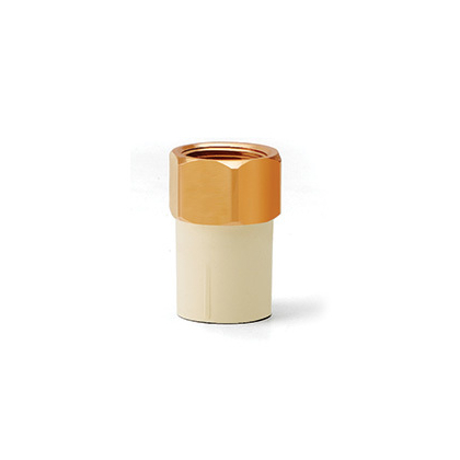 Prince 20 mm dia female thread adapter(brass insert)