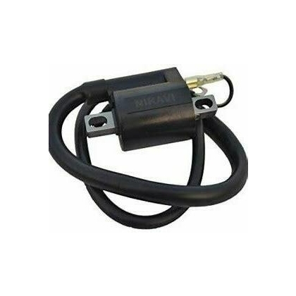 IgnItion Coil With Cable Achiever