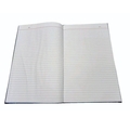 Unbranded PLAIN REGISTER Diaries-printed-plain- register- 384 Pages