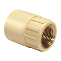 FLOWKEM 15 mm dia Female adapter brass threaded