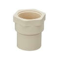 Finolex Pipes 25 mm dia Female thread adapter(plastic)