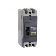 L & T 125A 2 Pole 25 KA Molded Case Circuit Breakers (Mccb)