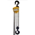 RAJA Hand Operated Chain Pulley Block, Warranty 1 year