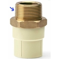 PRAYAG 25 mm dia Male adapter brass threaded