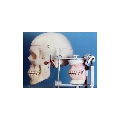 DENTAL ARTICULATOR