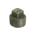 NA 25 Electric Resistance Welded(ERW) Plug Steel Pipes Fitting